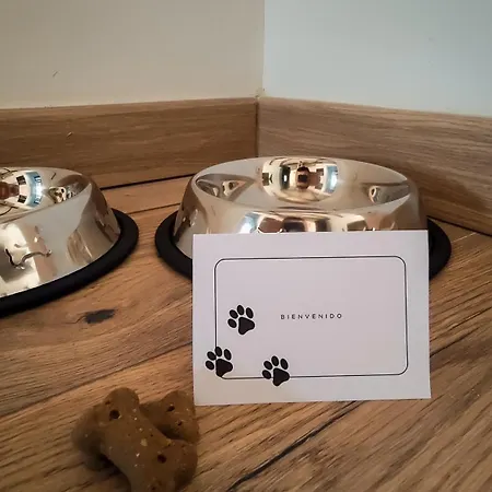 La Viga Del Queso - Centrico - Wifi - Vut-2787-as * גיחון