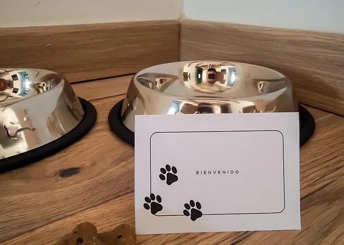 La Viga Del Queso - Centrico - Wifi - Vut-2787-as * Gijón